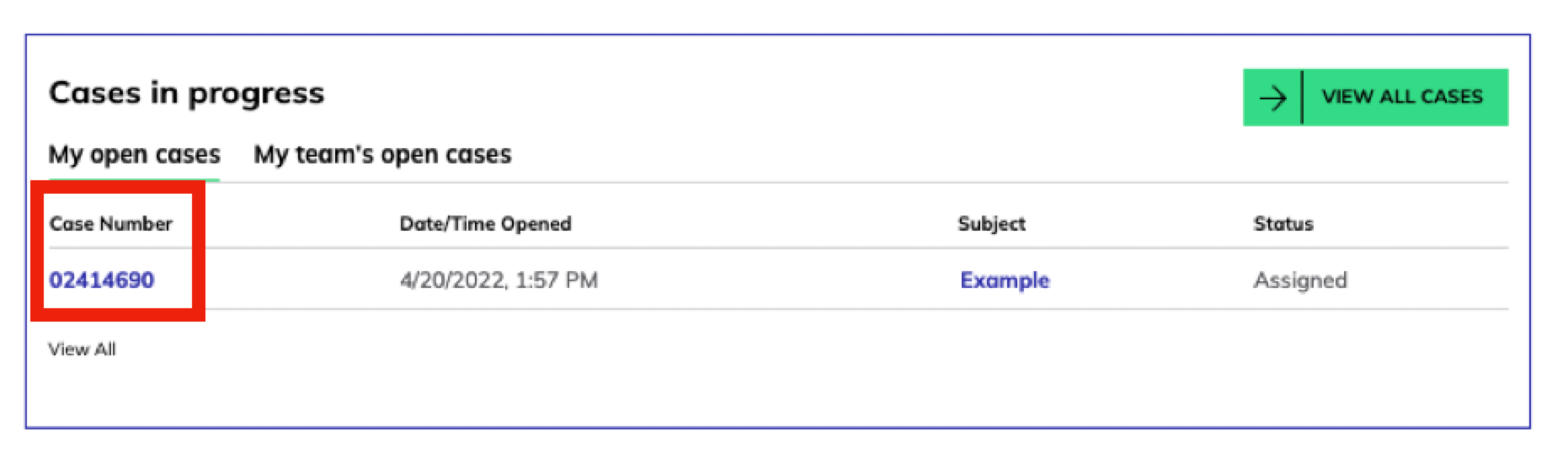 View_a_Support_Case-case_numbers_support_page.png