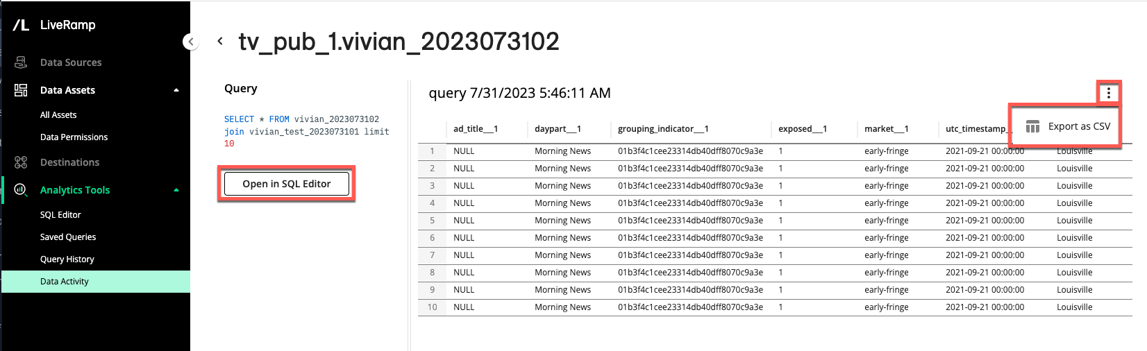 Data_Activity_Page-View_Query_Results-Open_In_Editor.png