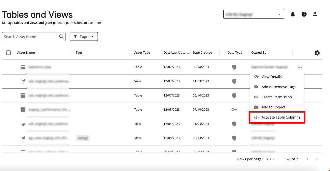 DCP-Tables_and_Views_Activate_Table_Columns_menu_selection.png