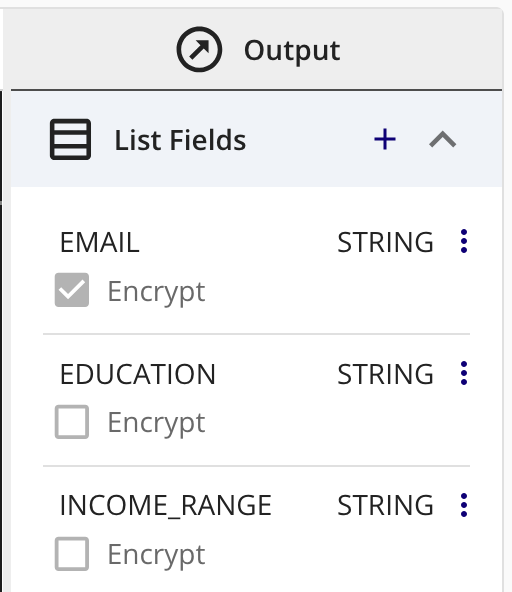 List_Field-Encrypt_Option_Selected.png