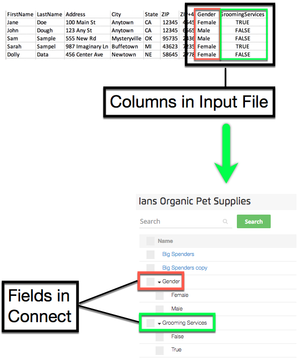 Columns to Fields Image-4b4.jpg