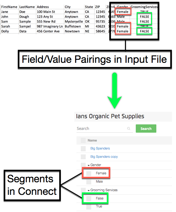 Field Value to Segments Image.jpg