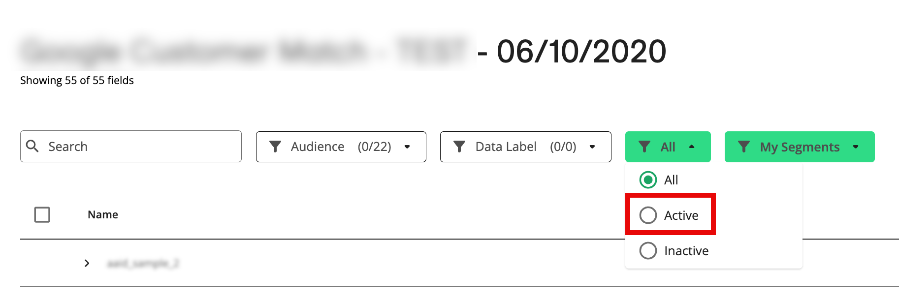 C__Onboarding-_View__Segment__Delivery__Status-_Active_filter.png